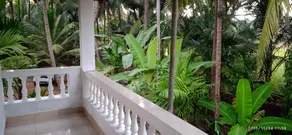 2 BHK 2 minutes drive to the Beach south Goa NO/AC - Image 3