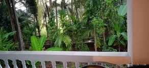 2 BHK 2 minutes drive to the Beach south Goa NO/AC - Image 5