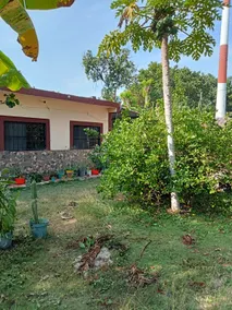 Little House Among Trees in Private Estate - Image 2