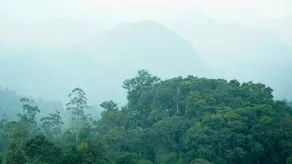 Pepperico Villas- Misty Hills Retreat near Munnar - Image 5