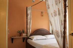 The South spice - Image 5