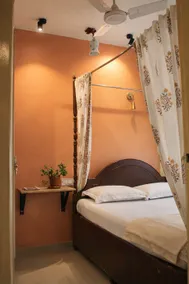 The South spice - Image 2