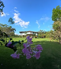 Private property near the city | Exclusive use - Image 4