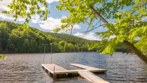 Pet Friendly,Lakefront,Hot Tub,Close to State Park - Image 4