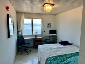 Lake Zurich - rooms with panorama view - Image 3