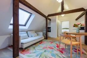 Nest Suite · 2-Room Apartment near Zürich HB - Image 3