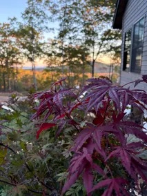 House of POH (pond, ocean, hills) - Image 5