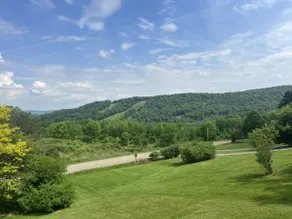 Scenic Swain Hill Chalet, 20 minutes to Letchworth - Image 3