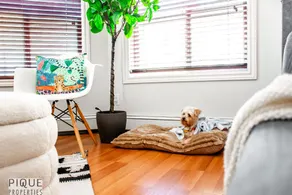 The Breakfast Club Suite - KingBed& AC - Patio - UG Park - Image 2