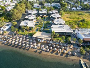 Stylish Beachfront Villa with Pool Gym Sauna SeaView - Image 2
