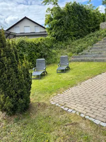 A break at the edge of the forest - Image 5