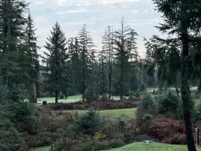 Greenside Getaway - Image 4