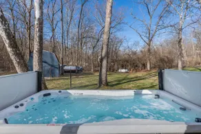 Swim year round! Swim Spa + Sauna + Movie Room - Image 4