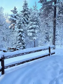 Refuge-style chalet Mountain view - Image 4