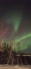 Hiet- Arctic cabin in the norwegian forrest! - Image 3
