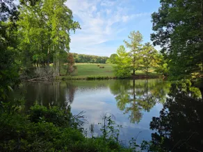 The Sanctuary at Salem Lake - Image 2