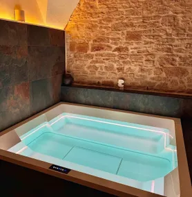 Architect's Suite with Mini Pool - Image 4