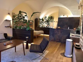 Architect's Suite with Mini Pool - Image 5