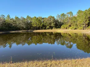 Quiet Cozy 47 acres of your dreams - Image 5