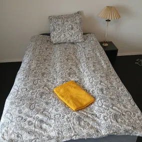 Exclusive large accommodation in Fredrikshavn - Image 3