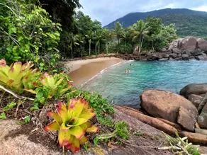 Ubatuba Chalet | 5 min from Félix Beach - Image 3