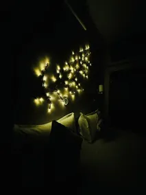 Anantya 2BHK Villa - Image 5