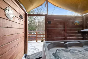 HOT TUB | SAUNA | NRG |GameRM| bball court - Image 2