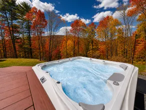 Catskills Mansion |Hot Tub |Sauna |Golf |Game Room - Image 3