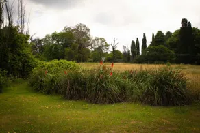 Stylish Renovated Cottage | Walk to Town - Image 5