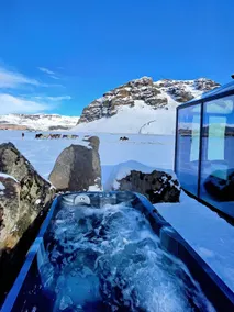 Aurora Glass Cabin I Private Sauna and Jacuzzi - Image 2