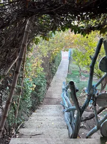 A pleasant and quiet guest unit at the foot of the Golan Heights - Image 2