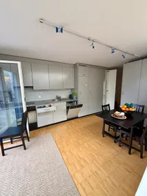 Central apartment in Zurich-West with roof terrace - Image 3