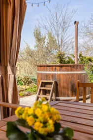Dog-friendly courtyard, tub bath, barbecue, terrace - Image 2