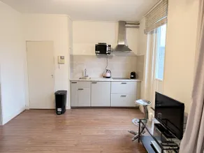 Spacious private apartment with large balcony - Image 4