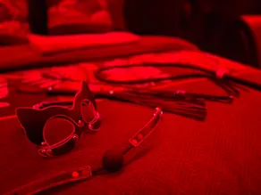 Crescendo 9 Love Room - Image 5