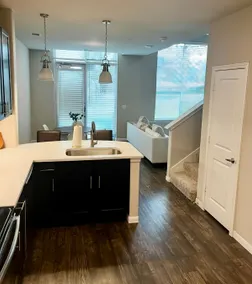 Prime Frisco Townhome | The Star | Universal | PGA - Image 4