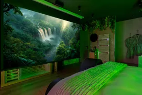 Jungle Suite - Love room spa, sauna, private cinema - Image 4