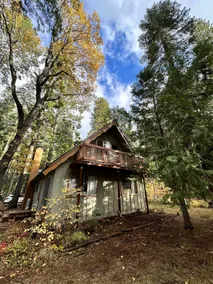 Jeepers Cabin - Image 3