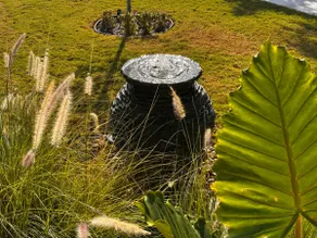 Chic Mid-Century Retreat in the heart of McAllen - Image 4