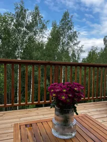 Stylish holiday home in Korpilampi near Serena - Image 4