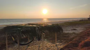 House in a coconut grove right on the beach! - Image 3