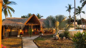 House in a coconut grove right on the beach! - Image 2