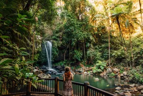 Romantic Figtree Eco Lodge - Walk to Curtis Falls - Image 5