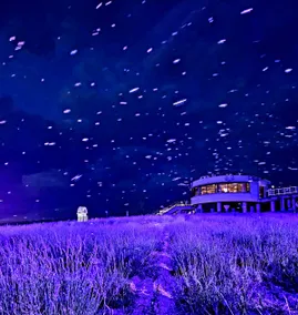 OHANA/Entire house rental for up to 9 people! 1 minute from the station! Between Biei and Furano, a sightseeing base - Image 2
