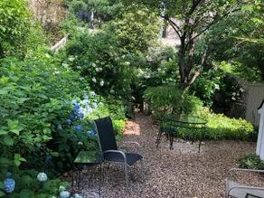 Private Basement Studio | Pet-Friendly Yard - Image 3