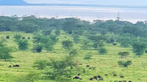 Naka Executive Suites With Balcony, Amazing View of Lake Nakuru, GYM - Image 2