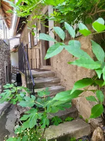 La Maison du Lierre | Signature 3-Suite House - Image 3