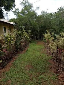 Seasonal rental house 1 bedroom accommodates 2 people - Image 3