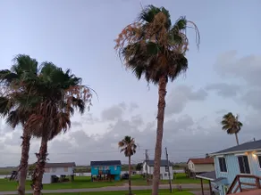 Blue Goose Retreat on the coast - Sargent Tx - Image 4