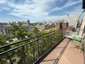 2bd/2ba, private balcony downtown STL - Image 4